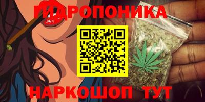 spice Бугуруслан