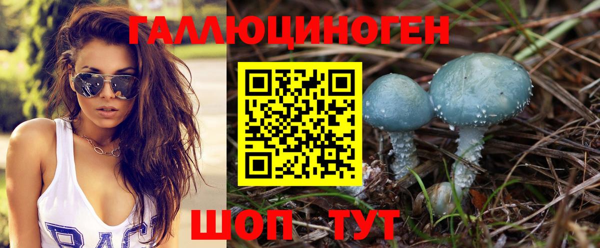 Псилоцибиновые грибы GOLDEN TEACHER Нягань